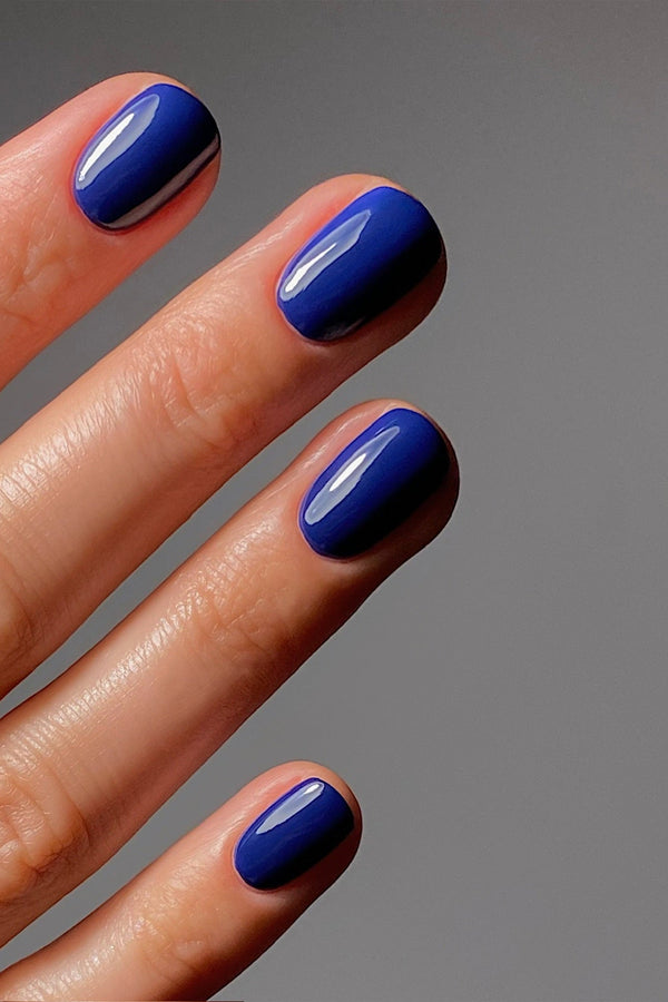 Cobalt Chic